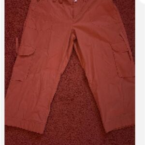 Daisy Fuentes Brown and Cream Capris Relaxed Fit